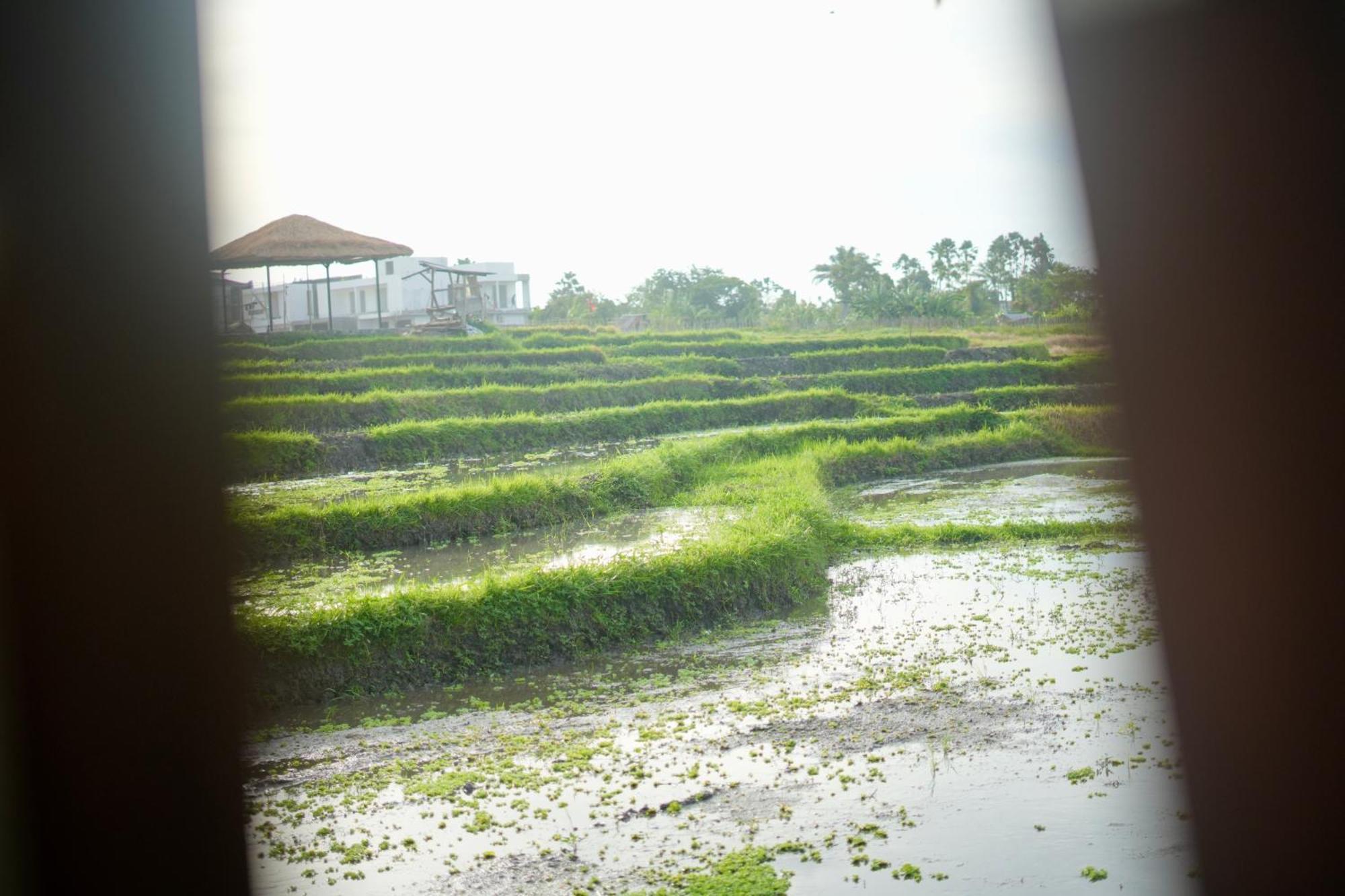 Villa In Seminyak Villa Mitra Dua Ricefield View Relax Kerobokan Zewnętrze zdjęcie