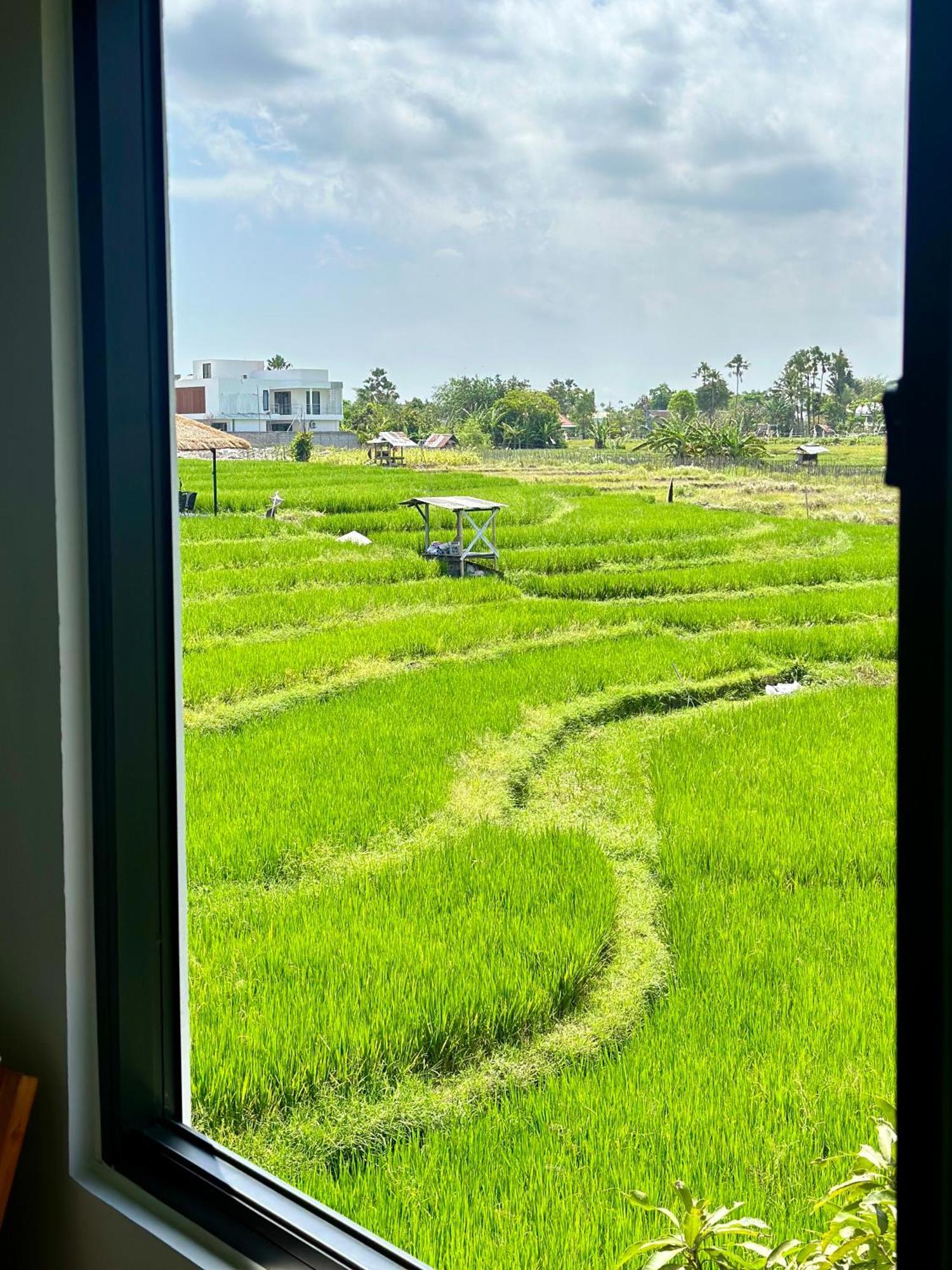 Villa In Seminyak Villa Mitra Dua Ricefield View Relax Kerobokan Zewnętrze zdjęcie